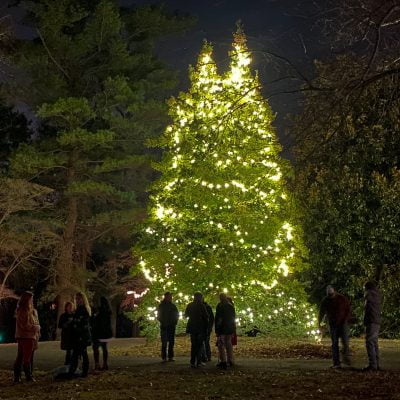 Happy Retreat Christmas Tree Lighting
